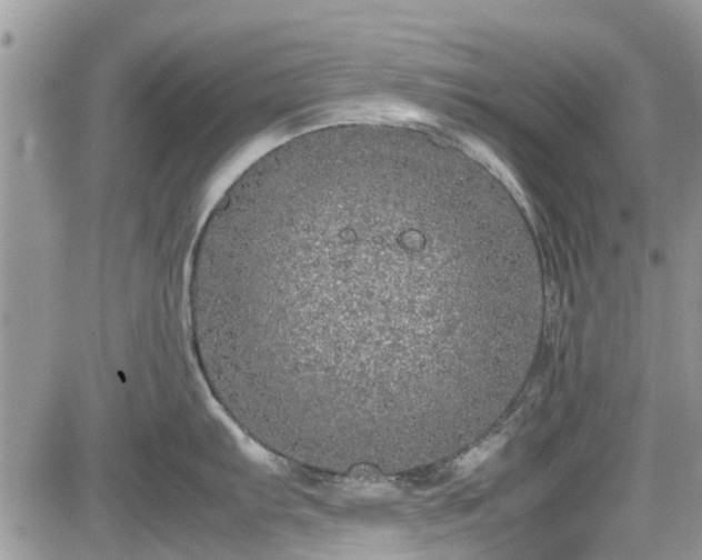 X0000085271103200703161423