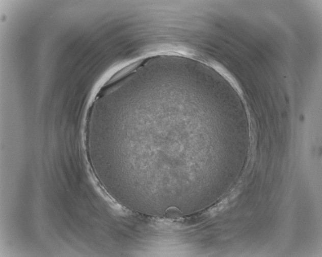 X0000085271104200703161423