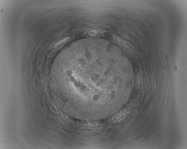 X0000085271105200703161422