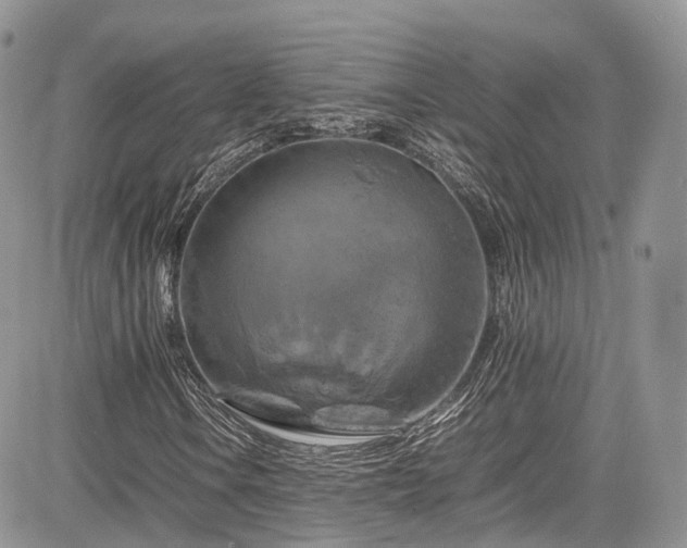 X0000085271106200703161422