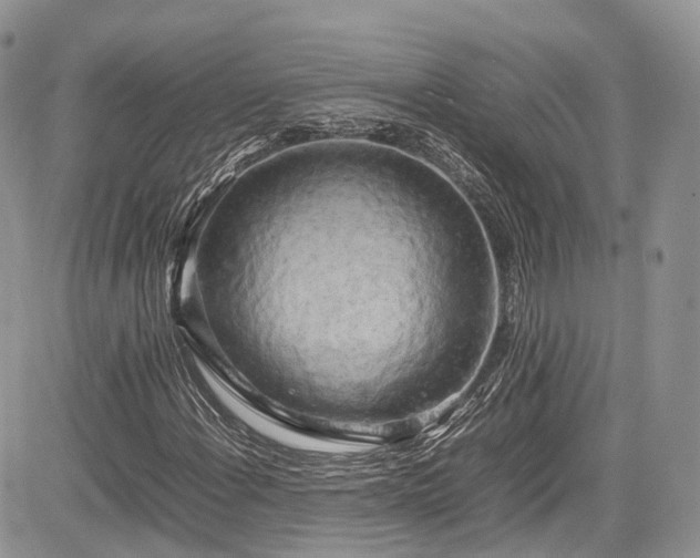 X0000085271108200703161422