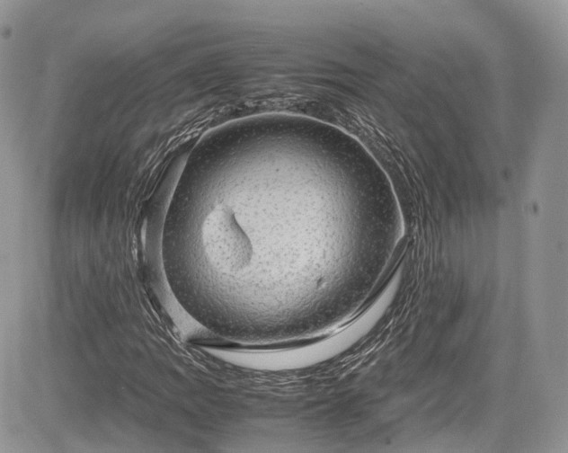 X0000085271109200703161422