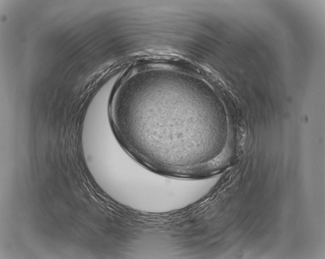 X0000085271110200703161422