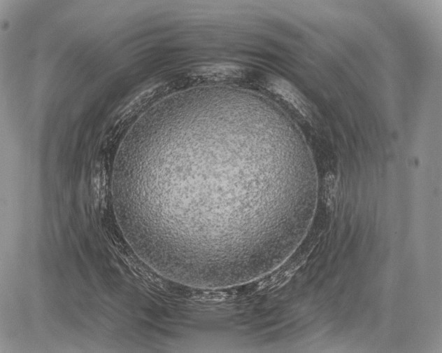 X0000085271111200703161422