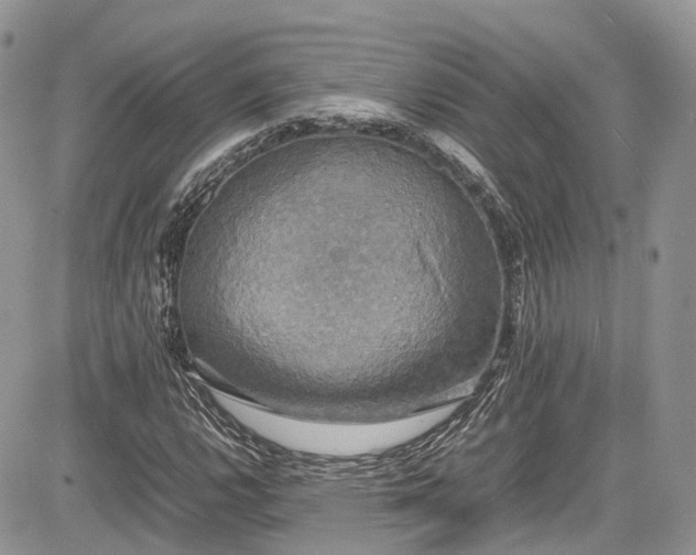 X0000085271112200703161422