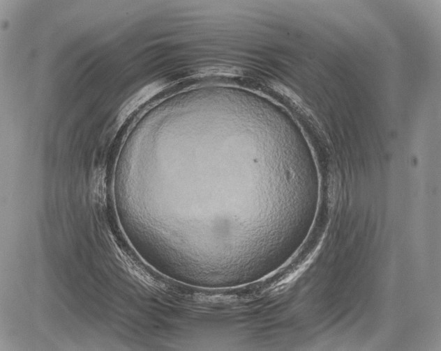 X0000085271113200703161422