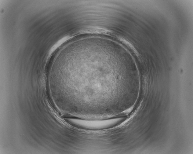 X0000085271114200703161422