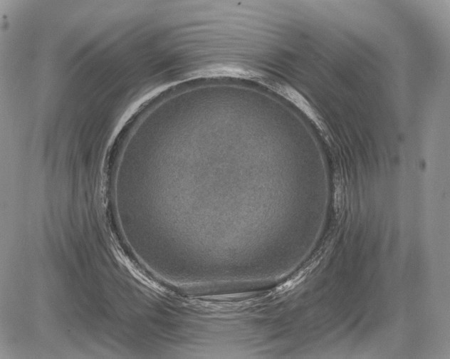 X0000085271116200703161422