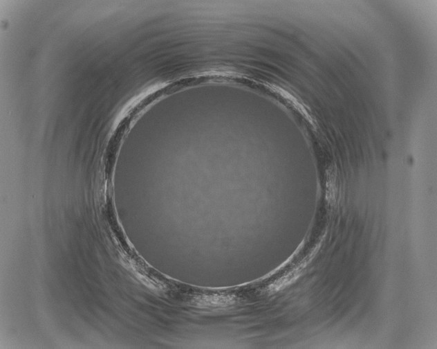 X0000085271117200703161422