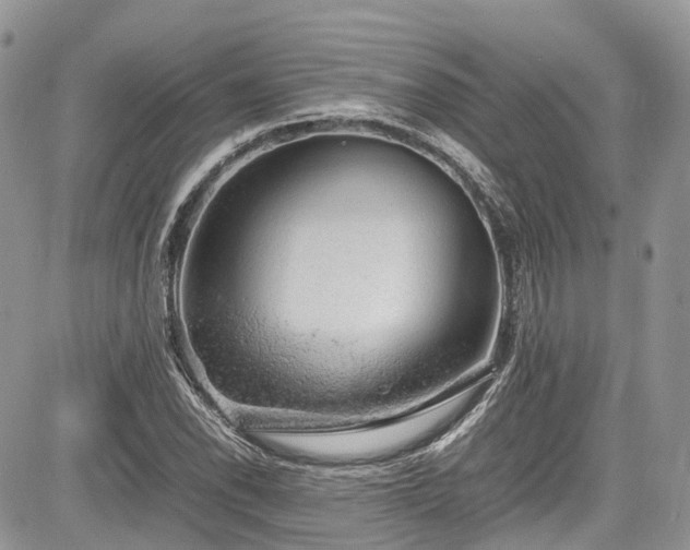 X0000085271118200703161423