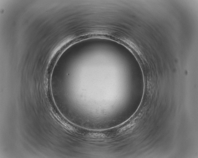 X0000085271119200703161423