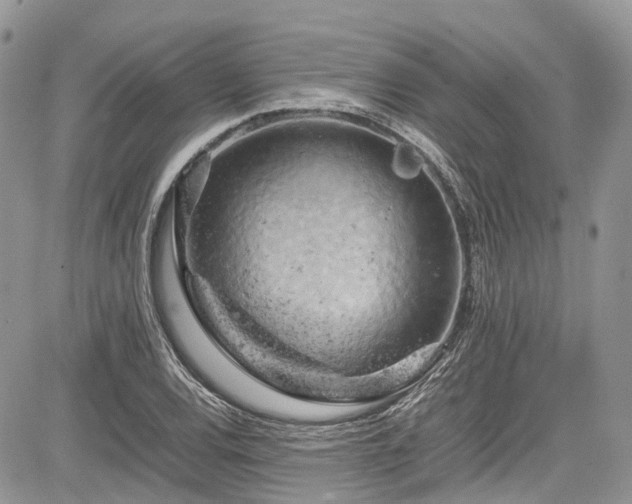 X0000085271120200703161423