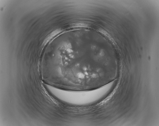 X0000085271121200703161423