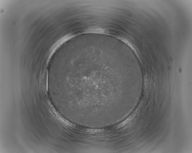 X0000085271123200703161423