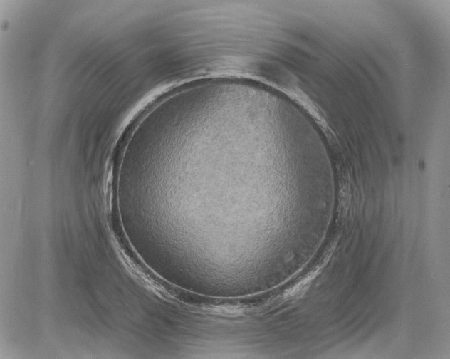 X0000085271126200703161423