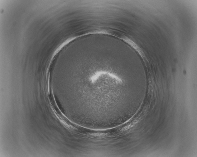 X0000085271127200703161423