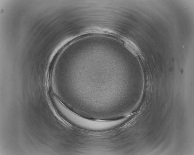 X0000085271128200703161423