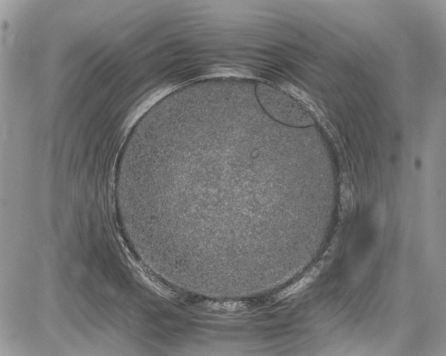 X0000085271129200703161423