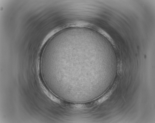 X0000085271130200703161423