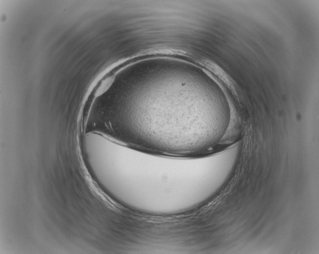 X0000085271132200703161423