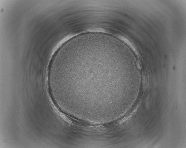 X0000085271133200703161423