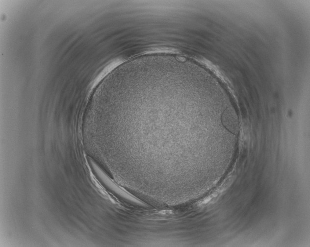 X0000085271137200703161423