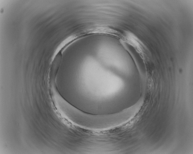 X0000085271138200703161423