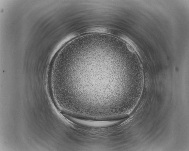 X0000085271139200703161423