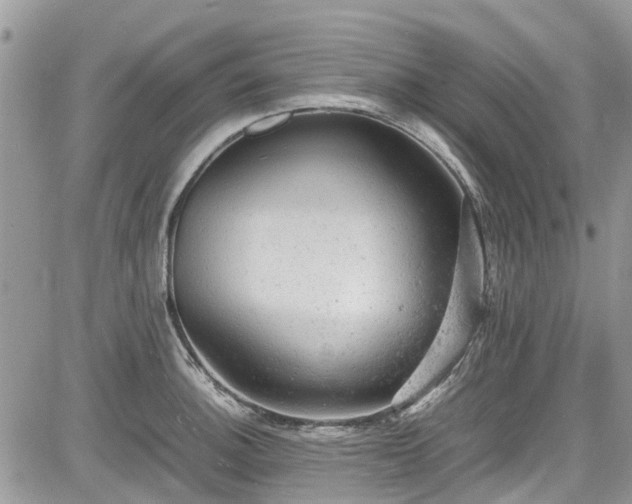 X0000085271140200703161423