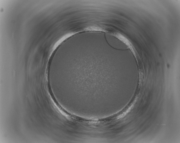 X0000085271141200703161423