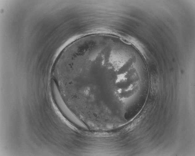 X0000085271142200703161423