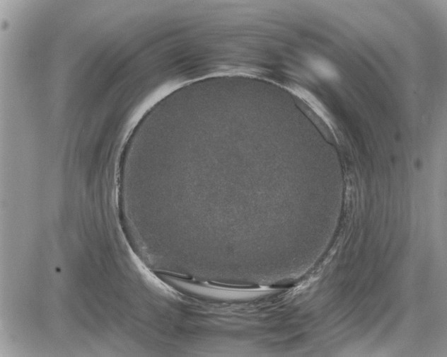 X0000085271143200703161423