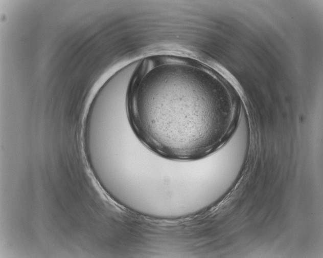 X0000085271144200703161423