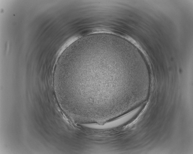 X0000085271145200703161423