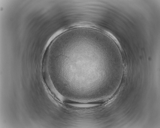 X0000085271146200703161423