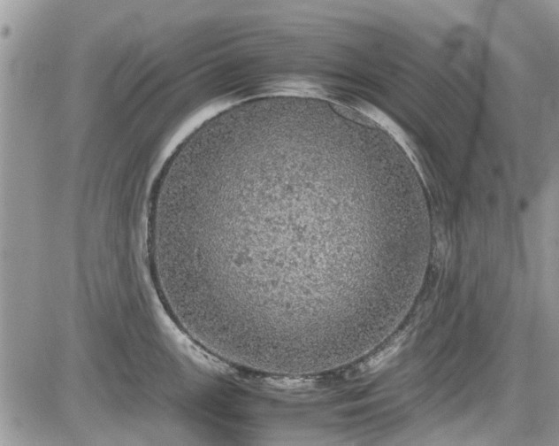 X0000085271147200703161423