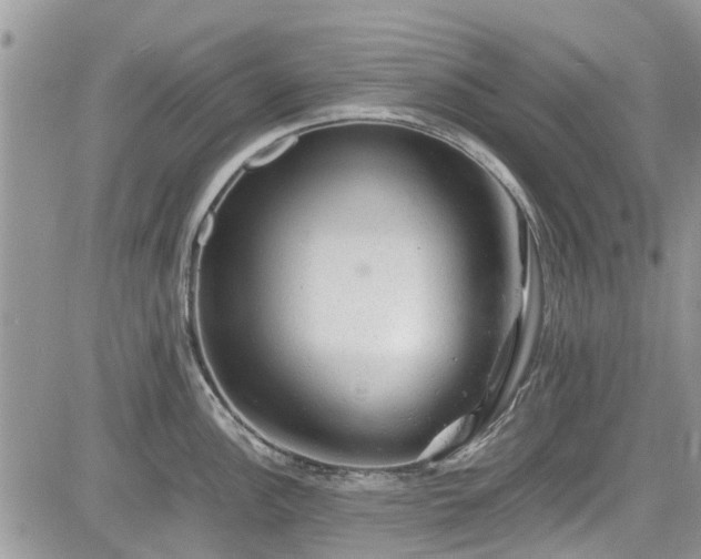 X0000085271148200703161423