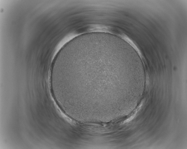 X0000085271149200703161423