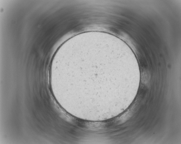 X0000085271150200703161423