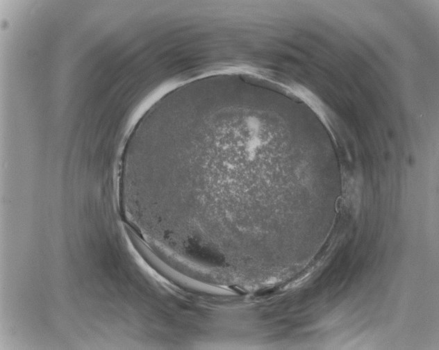 X0000085271151200703161423