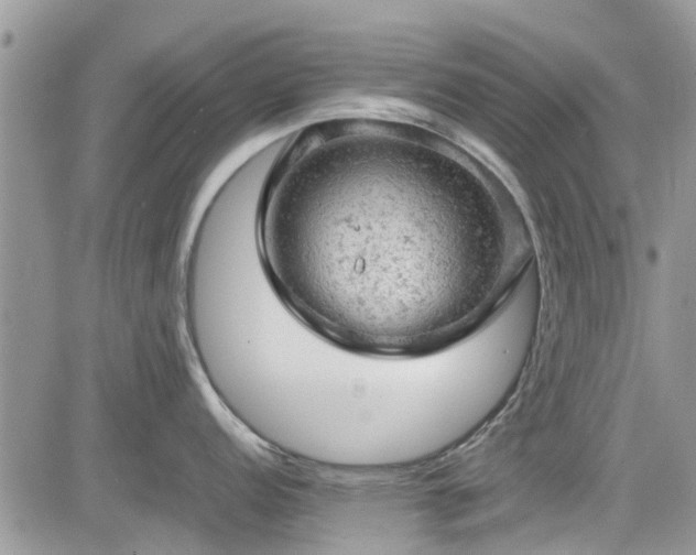 X0000085271152200703161423