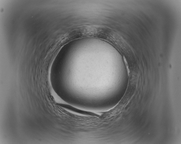 X0000085271153200703161422