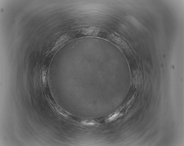 X0000085271154200703161422