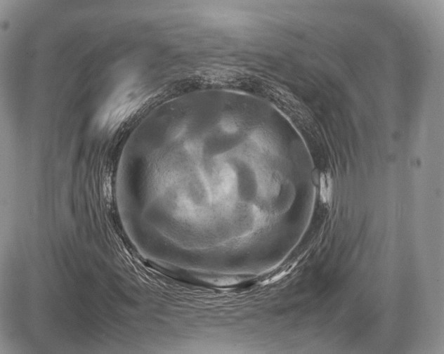 X0000085271155200703161422