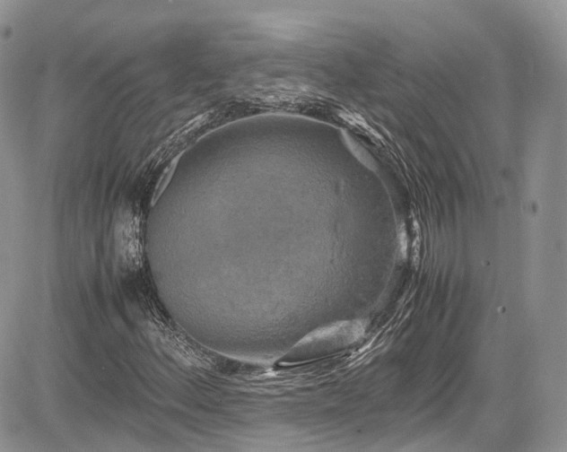 X0000085271156200703161422