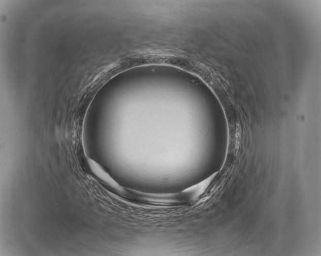 X0000085271157200703161422