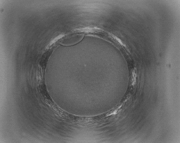 X0000085271158200703161422