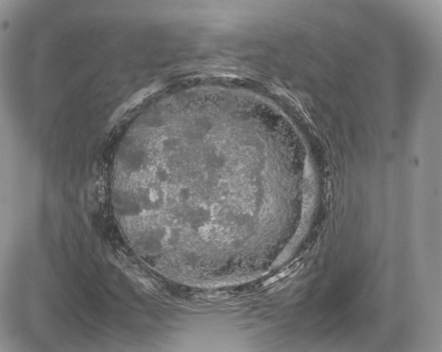 X0000085271159200703161422