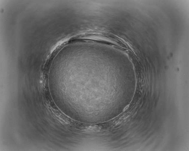 X0000085271160200703161422