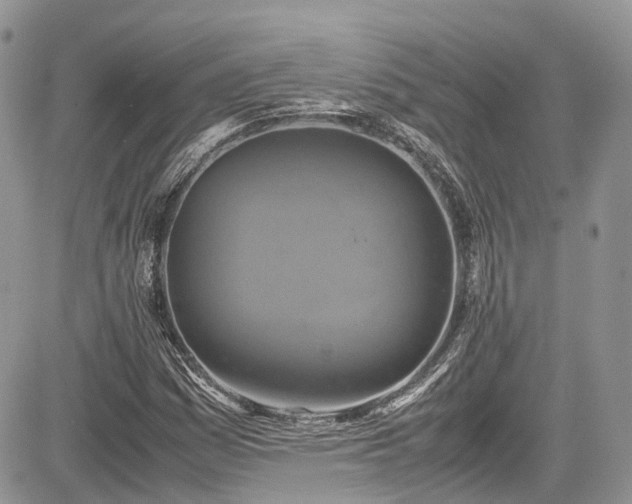 X0000085271161200703161422